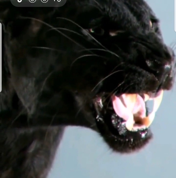 Profile Picture of Lopez Julio (@chakalopez36) on Poshmark