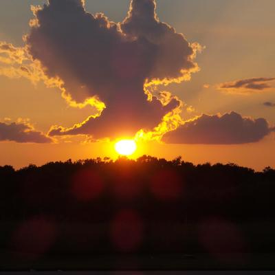 Profile Picture of Curtis Noland (@nolacnn) on Twitter