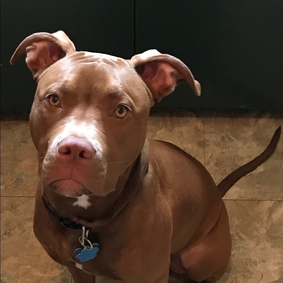 Profile Picture of Tabetha Frontz (@beverlytabetha) on Poshmark