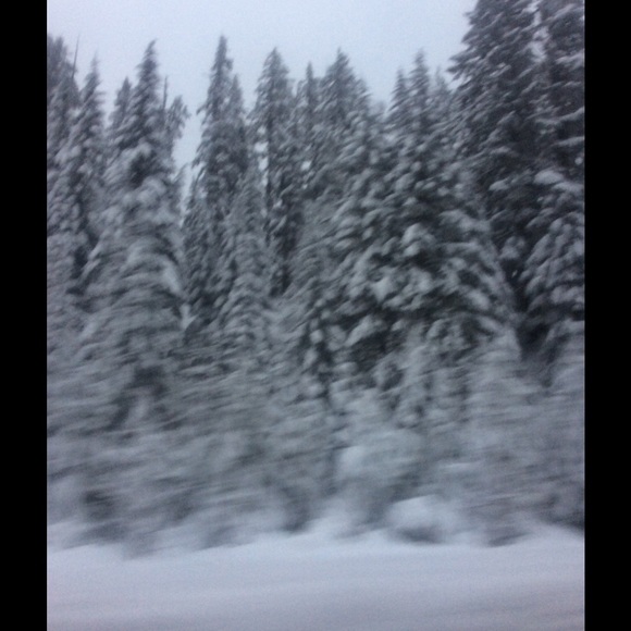 Profile Picture of Isabelle Plough (@izzbiz2020) on Poshmark