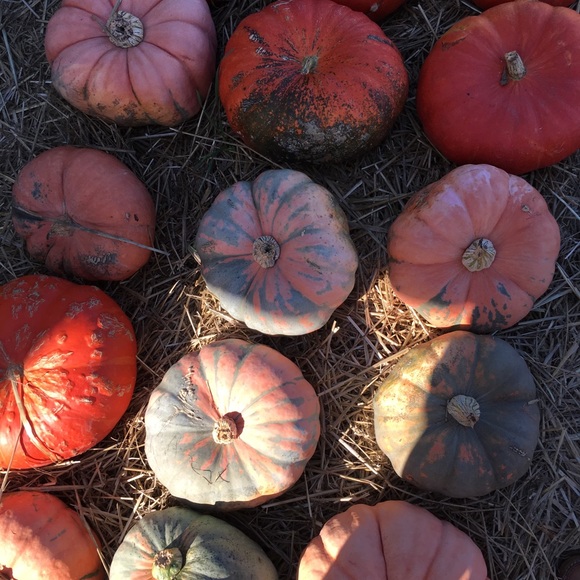 Profile Picture of Kevin Fleagle (@flavafleag) on Poshmark