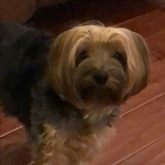 Aline Kleefstra - Poshmark Profile Picture of Aline Kleefstra (@alapzz) on Poshmark