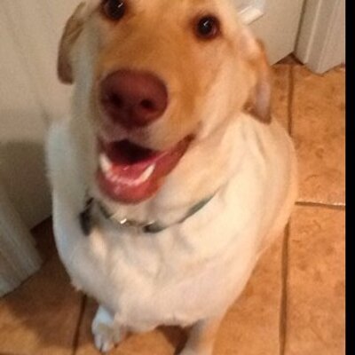 Profile Picture of Michael McGhee (@winston_mattie) on Twitter