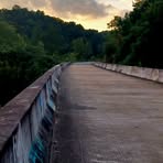 Profile Picture of Janet Trapp (@janet.trapp.9) on Facebook