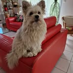 Profile Picture of Hubert Champion (@hubcha21) on Facebook