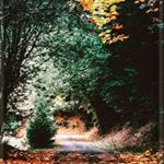 Profile Picture of julia_bingklockar (@julia_bingklockar) on Instagram