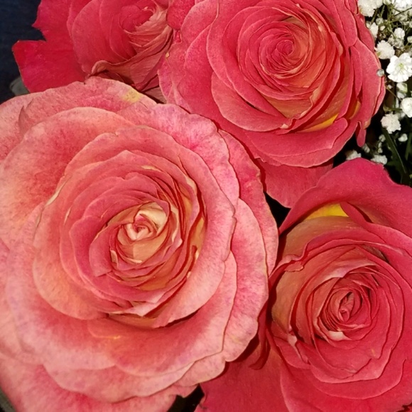 Profile Picture of Briana Cupstid (@bcupcake612) on Poshmark