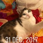 Profile Picture of Villa a Louer Vue Panoramique (@kathya_et_kathy) on Instagram