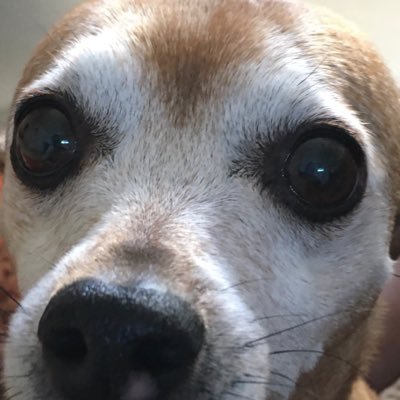 Joshua Neptune - Twitter Profile Picture of Joshua Neptune (@JoshuaNeptune7) on Twitter