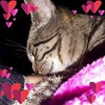 Profile Picture of Birgit Jansen (@birgit.jansen.9047) on Instagram