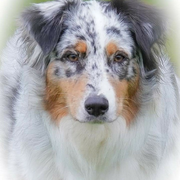 Profile Picture of Marilyn Enterline (@marilynrenee106) on Poshmark