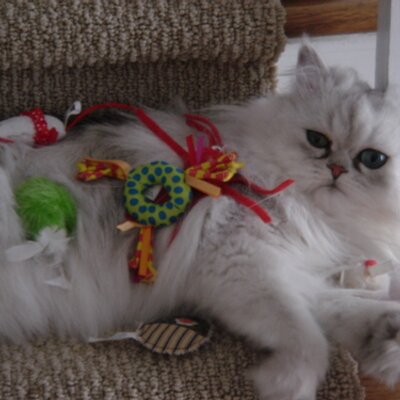 Profile Picture of George Ragan (@GraganRagan) on Twitter