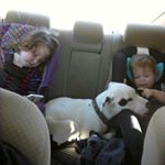 Profile Picture of Chris Regan (@cregan6191) on Instagram