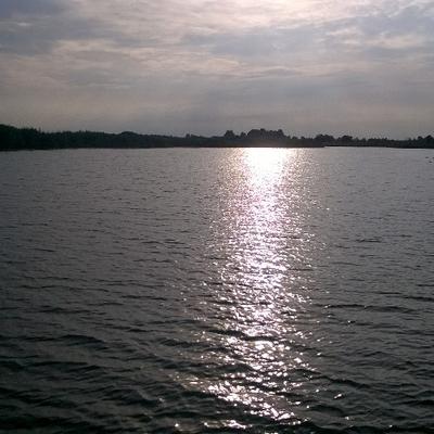 Profile Picture of Nataliya Chernetska (@NChernetska) on Twitter