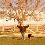 Profile Picture of Jeff Pruitt (@pruitt9199) on Instagram