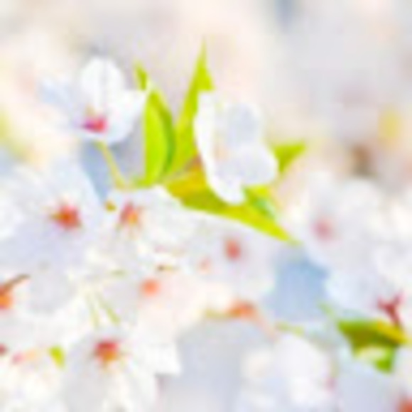 Profile Picture of Iona Dowden (@ionadowden) on Poshmark