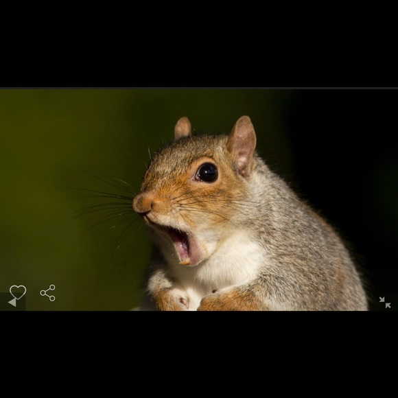 Profile Picture of Aaron Jones (@countflandy) on Poshmark