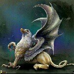 Profile Picture of Yoke Wong (@canine_rocks27) on Instagram