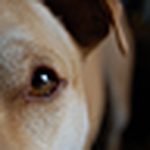 Profile Picture of Jordan And Kevin (@calipitstop) on Flickr