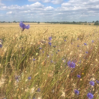 Profile Picture of Richard Bevan (@RichardABevan) on Twitter