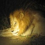 Profile Picture of Petra Mesman (@mespet) on Instagram