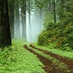 Profile Picture of Yolanda Rogers (@yolandarogers2416) on Instagram