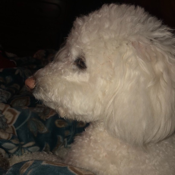 Profile Picture of Carl Hickman (@dhickman57) on Poshmark