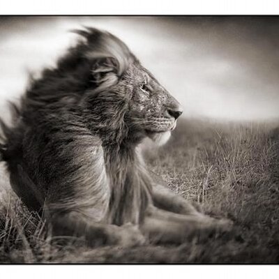 Profile Picture of Jeremy Keyser (@JeremyTKeyser) on Twitter