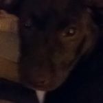 Profile Picture of nathaniel gage (@nate_gage123) on Instagram