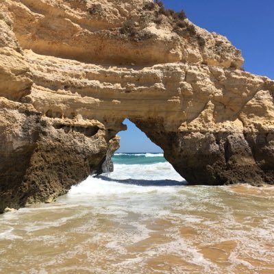 Profile Picture of Lafrance, Daniel (@LafranceDaniel2) on Twitter