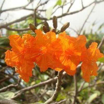 Profile Picture of Nancy Burley (@@Cre8iveMomma) on Twitter