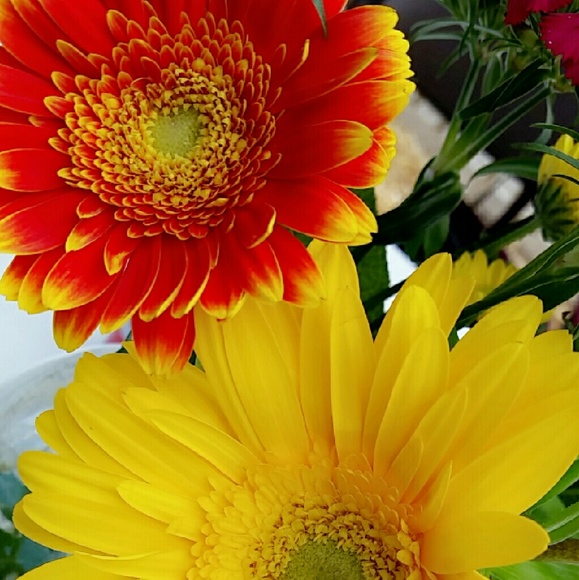 Profile Picture of Pamela Gonzalez (@pammy_143) on Poshmark