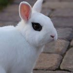 Profile Picture of Jose Valcarcel (@javb1986) on Instagram