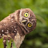 Profile Picture of Iris Lucas (@iris-lucas-7) on Quora
