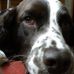 Profile Picture of Coco Wilke (@coco.wilke) on Facebook