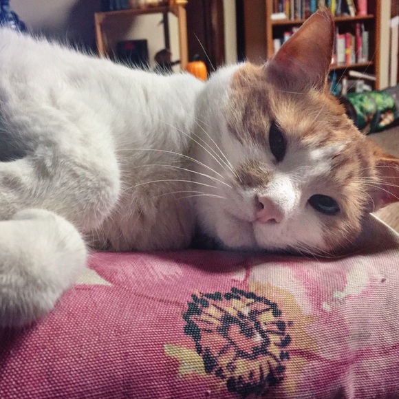 Profile Picture of Cassandra Gauthier (@crystalcass99) on Poshmark