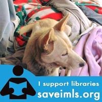 Profile Picture of Cindy Leach (@cindy-leach-2) on Quora