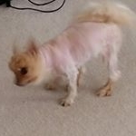 Profile Picture of george yu (@esta_george) on Instagram