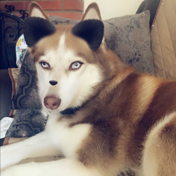 Ciara Belardes - Poshmark Profile Picture of Ciara Belardes (@blushlove) on Poshmark