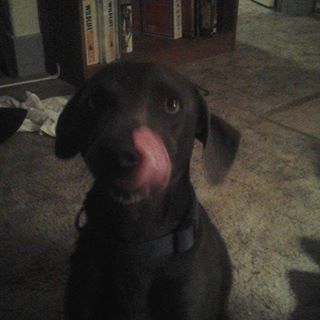 Profile Picture of Joshua Spurgin (@joshua.spurgin.77) on Facebook