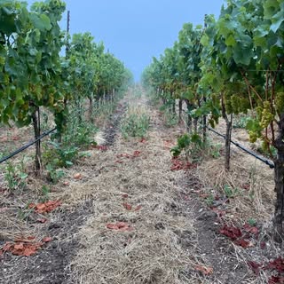 Profile Picture of James Sparks (@jamessparkswine) on Instagram