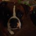 Profile Picture of Scott Colyer (@scott.colyer.37) on Facebook