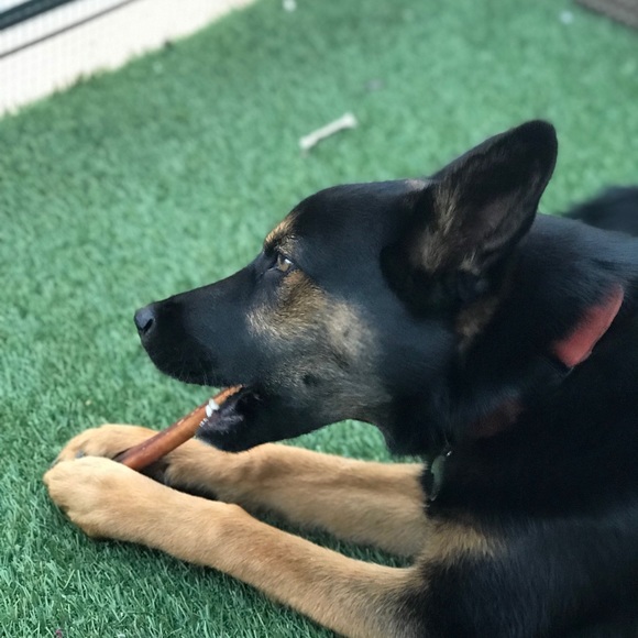 Profile Picture of Marian Shamoun (@mariannasser) on Poshmark