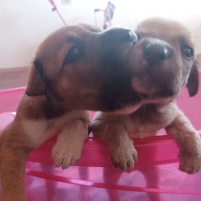 Profile Picture of Moraima Martinez Garcia (@Moraima94562599) on Twitter