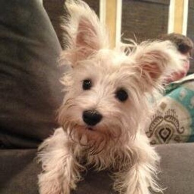 Profile Picture of Mary-Ann Maloney (@anchorwoman12) on Twitter