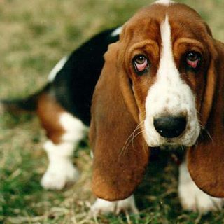 Profile Picture of Iris Atkins (@iris.atkins.14) on Facebook