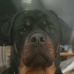 Profile Picture of Darius Buivydas (@darius_buivydas) on Instagram