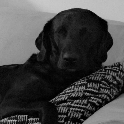 Profile Picture of James Bredin (@Jbinusa) on Twitter