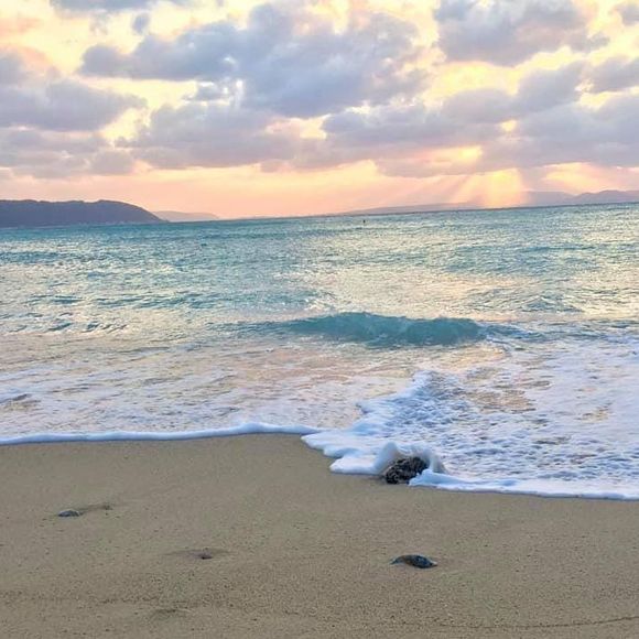 Profile Picture of Laura Heikkila (@lheikkila) on Poshmark