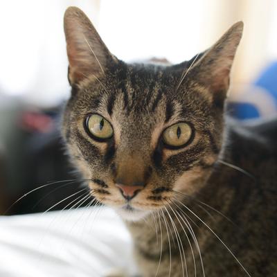 Nick Layton - Twitter Profile Picture of Nick Layton (@n1cklayton) on Twitter